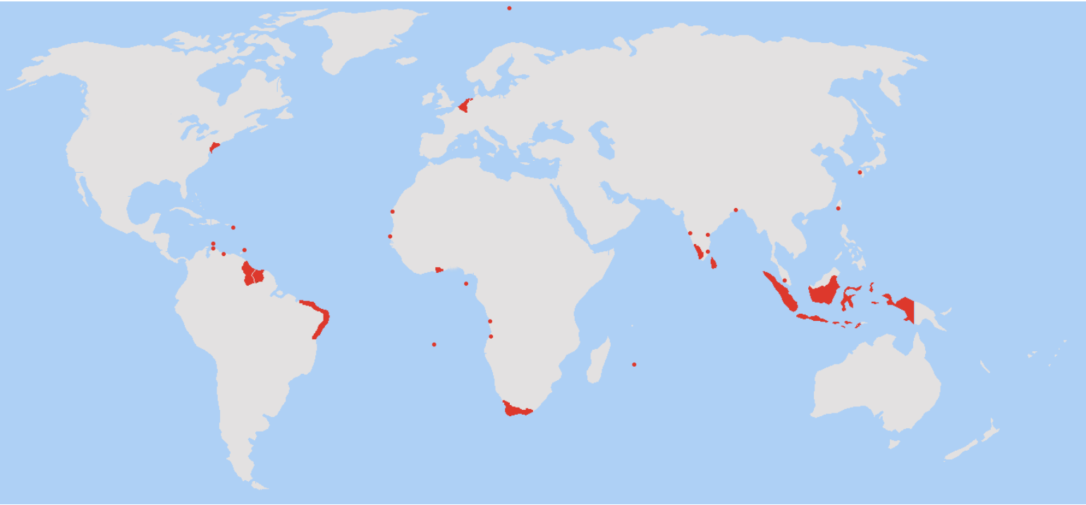 IF HOLLAND IS THE NETHERLANDS... | All-in Global