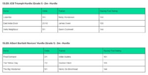 List of some of the horses names competing at Cheltenham Festival 2025.